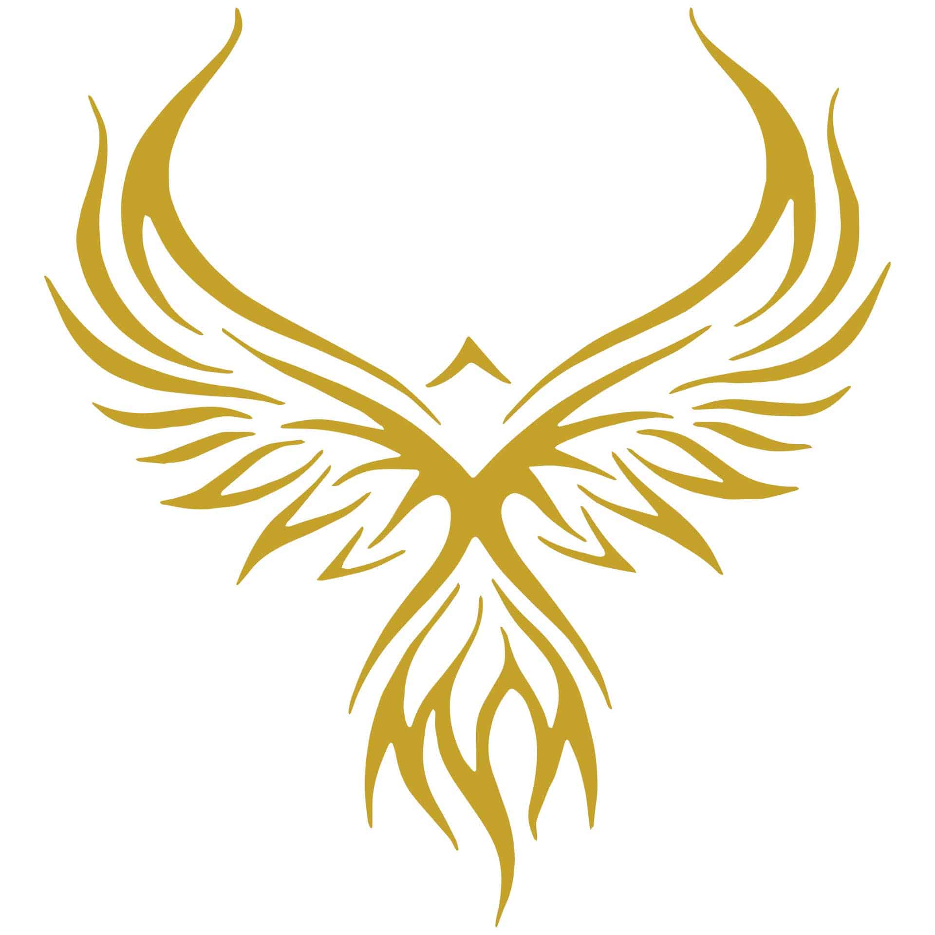 1920x1920-logo-watermark